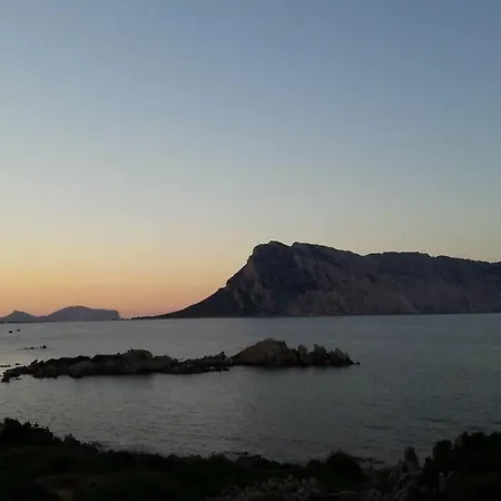 Casa vacanze Sunny House A Punta Molara *