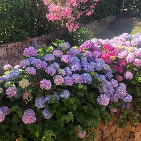 Semesterbostad Sunny House A Punta Molara San Teodoro (Sardinia)