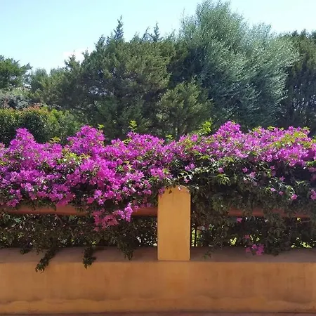 Prázdninový dům Sunny House A Punta Molara