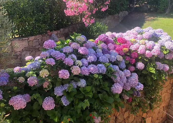 Nyaraló Sunny House A Punta Molara San Teodoro